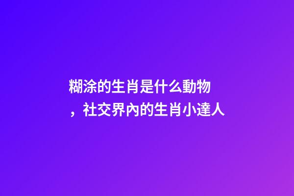 糊涂的生肖是什么動物，社交界內的生肖小達人-第1張-觀點-玄機派